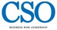 CSO (Chief Security Officer)
